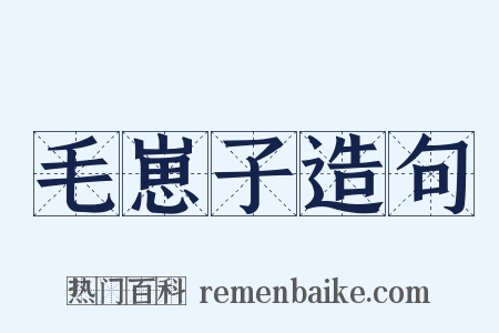 毛崽子造句是什么意思的图片